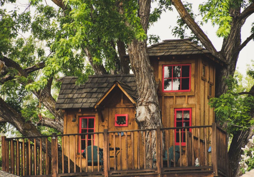 Boomhut overnachting? Wakker worden tussen de bomen!