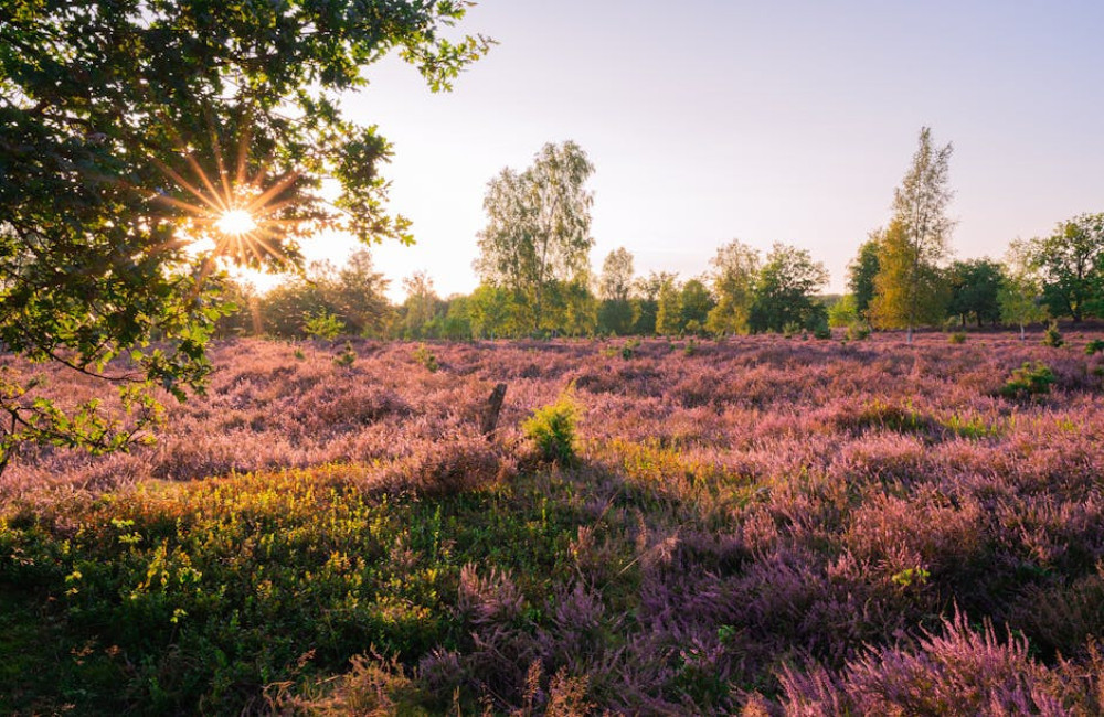 Kies voor een goedkope en groene vakantie, geniet van Duitsland net over de grens