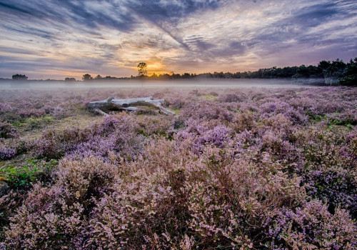 Dit zijn de mooiste locaties voor een luxe vakantie in Nederland