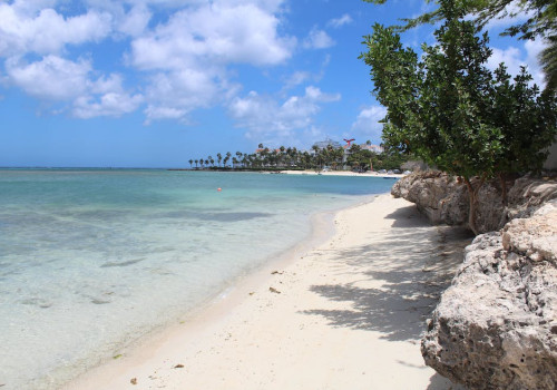 Verken de schitterende stranden van Aruba